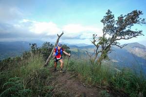 BIB: 
                            <button type="button" onclick="openModal(22446166)" class="btn btn-primary btn-sm float-right btn-popup" data-toggle="modal" data-target=".modal-high-quality">
                        <i class="fas fa-shopping-cart"></i> Add to Cart
                    </button>
                                            <button type="button" onclick="isThisMe(22446166, true)" class="btn btn-success btn-sm float-right btn-popup btn-isme hidden" data-toggle="tooltip" data-placement="bottom" title="นี่คือรูปของคุณใช่ไหม คลิกที่นี่เพื่อเอาเข้าอัลบั้ม">
                        <i class="fas fa-plus"></i> Add to album
                    </button>
                    <button type="button" onclick="isThisMe(22446166, false)" class="btn btn-warning btn-sm float-right btn-popup btn-isnotme hidden">
                        <i class="fas fa-ban"></i> Remove from album
                    </button>